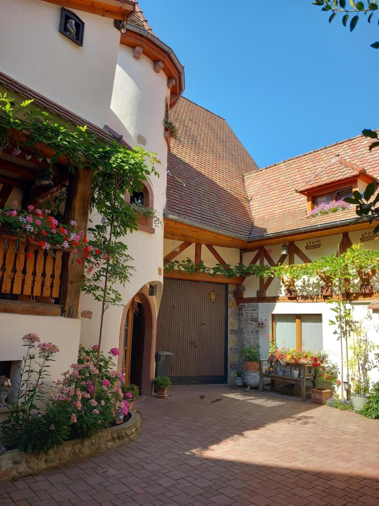 Chambres Suite D'Hote Divine Providence Wintzenheim Zewnętrze zdjęcie